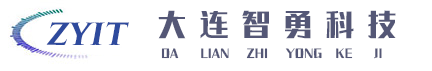 大连智勇科技